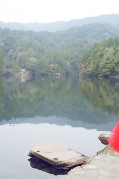 开云网站入口官网